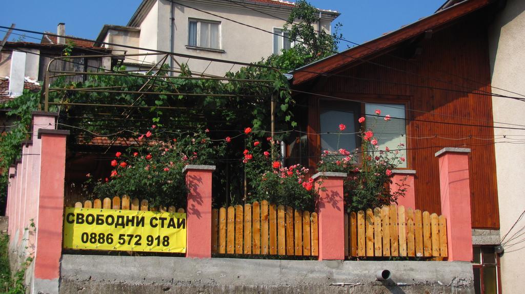 Guesthouse Elena Belogradchik Exterior foto