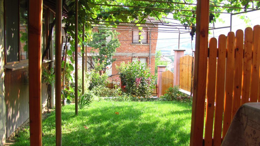Guesthouse Elena Belogradchik Exterior foto